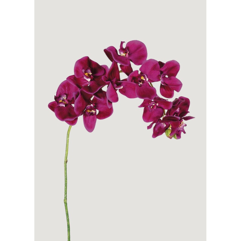 Violet Fuchsia Faux Phalaenopsis Orchid – 37