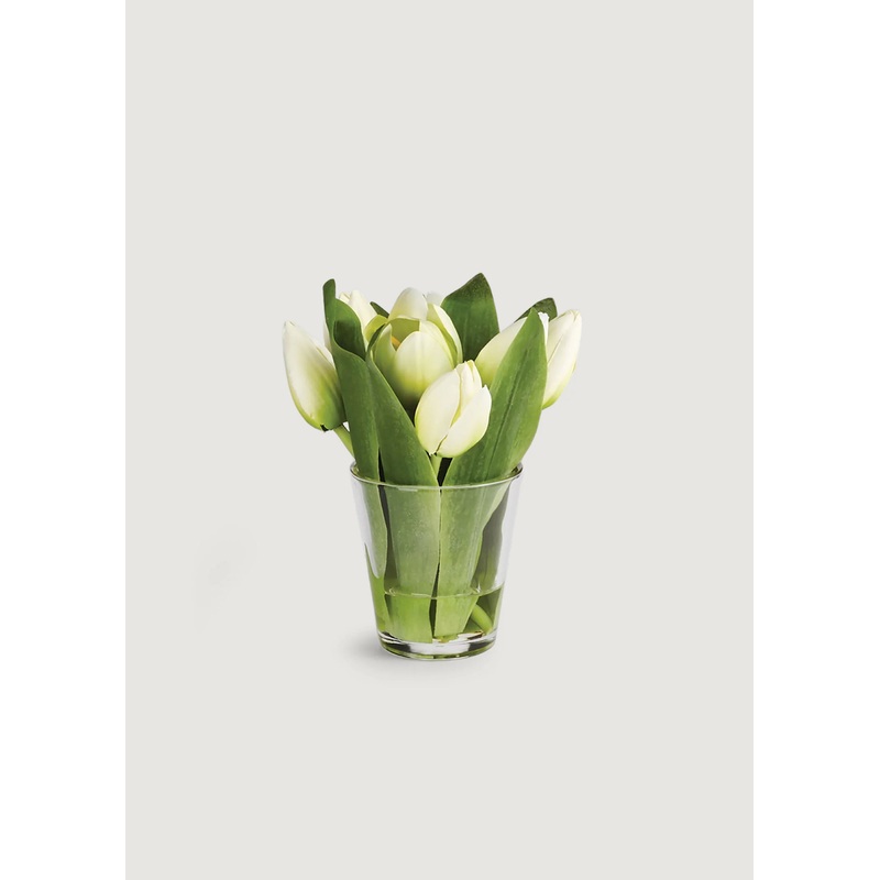White Faux Dutch Tulip Nook Arrangement in Glass Vase – 7.5