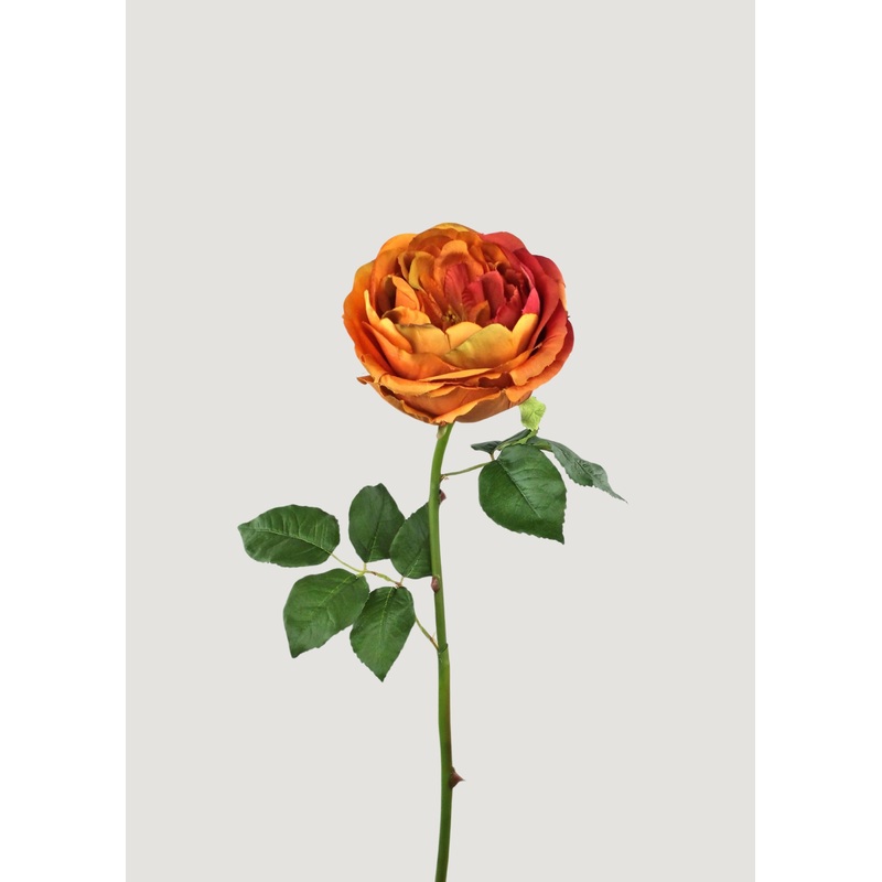 Artificial Rose in Burnt Orange – 22.75