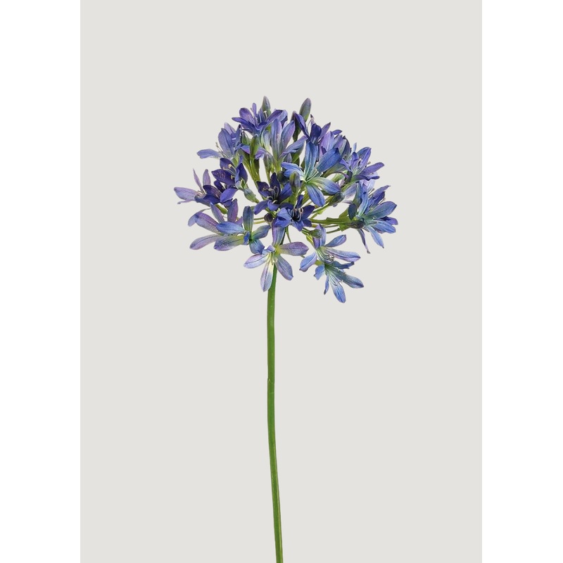 Blue and Purple Fake Agapanthus Flower – 35