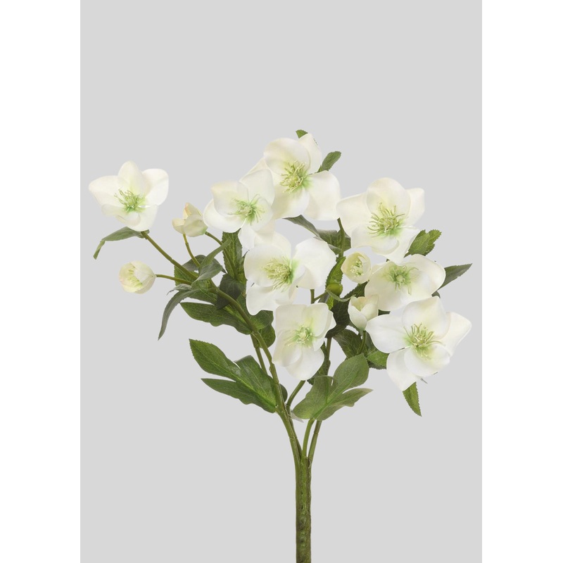 Cream Green Fake Helleborus Flower Bush – 14