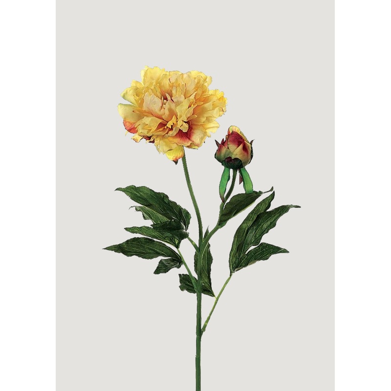 Fake Peony Flower in Golden Sunset- 28