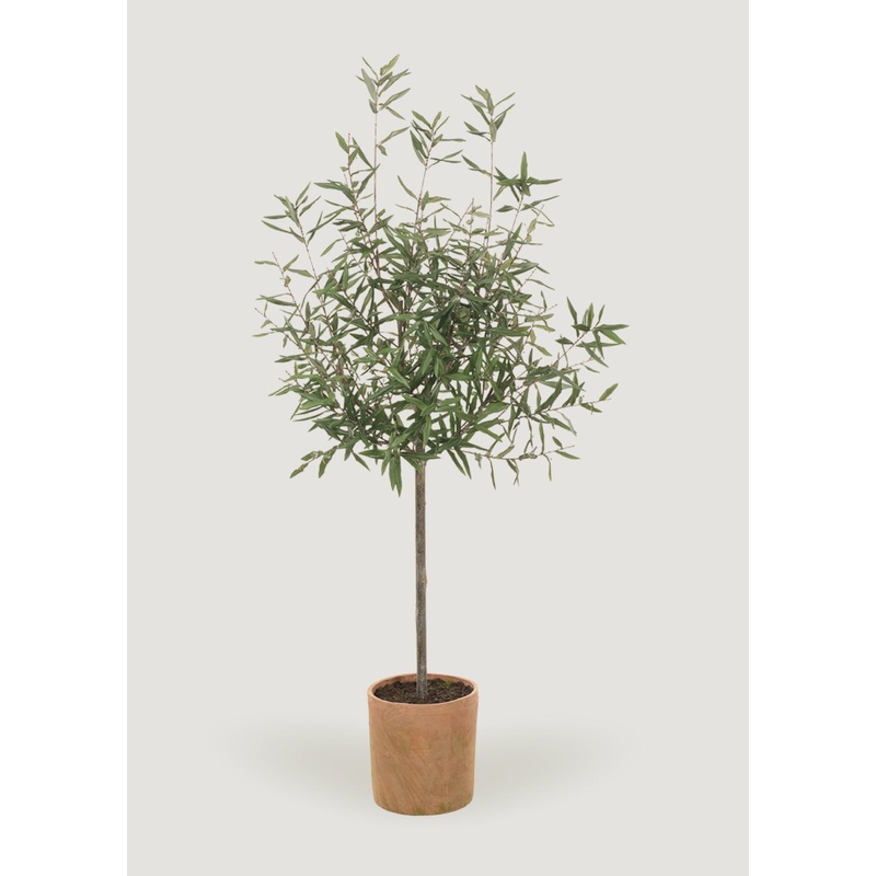 Fake Potted Olive Tree Plant in Clay Pot – 70