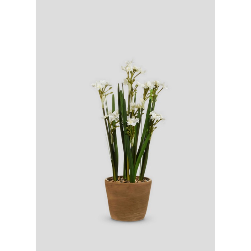 Fake Potted Paperwhite Flower Arrangement – 20