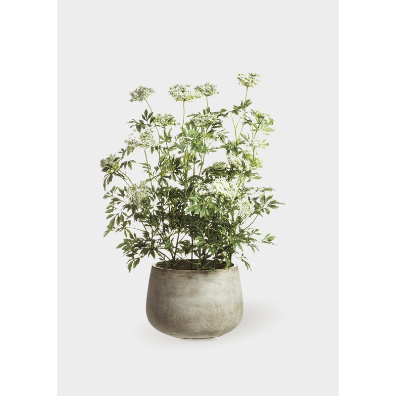 Faux Blooming Queen Anne’s Lace Potted Arrangement – 46