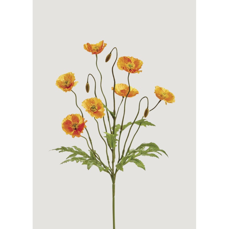 Orange Fake Poppy Blooming Flower Bush – 15