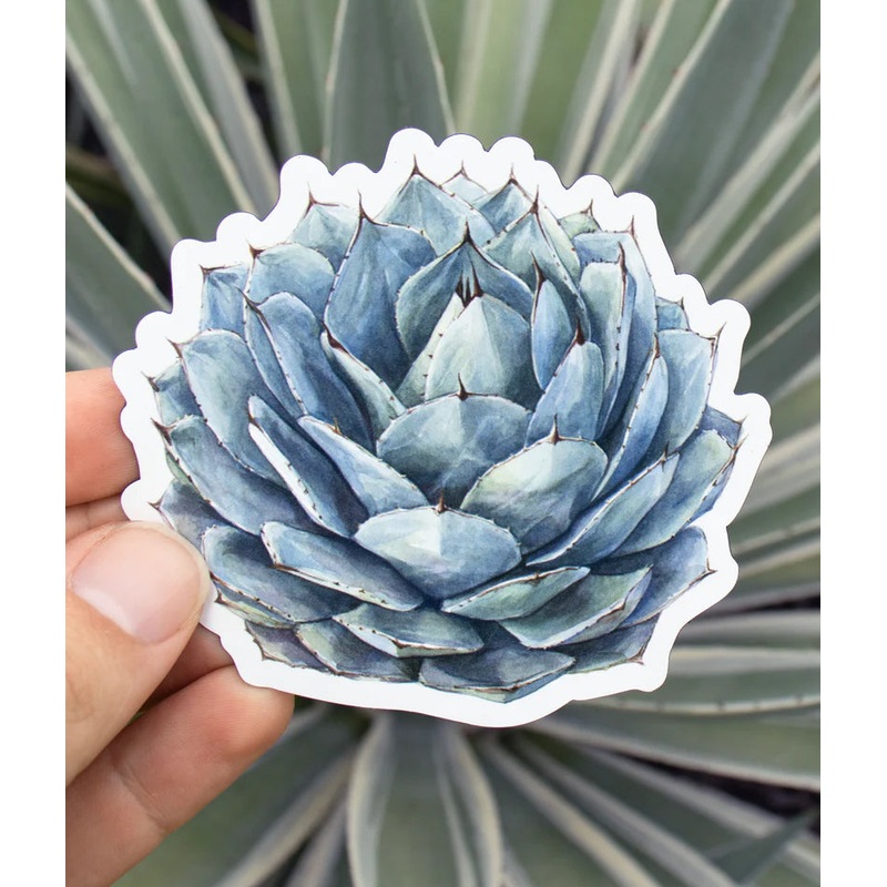 Agave Magnet