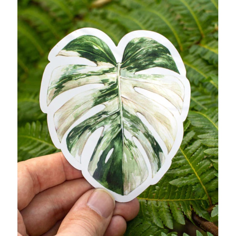 Albo Monstera Magnet