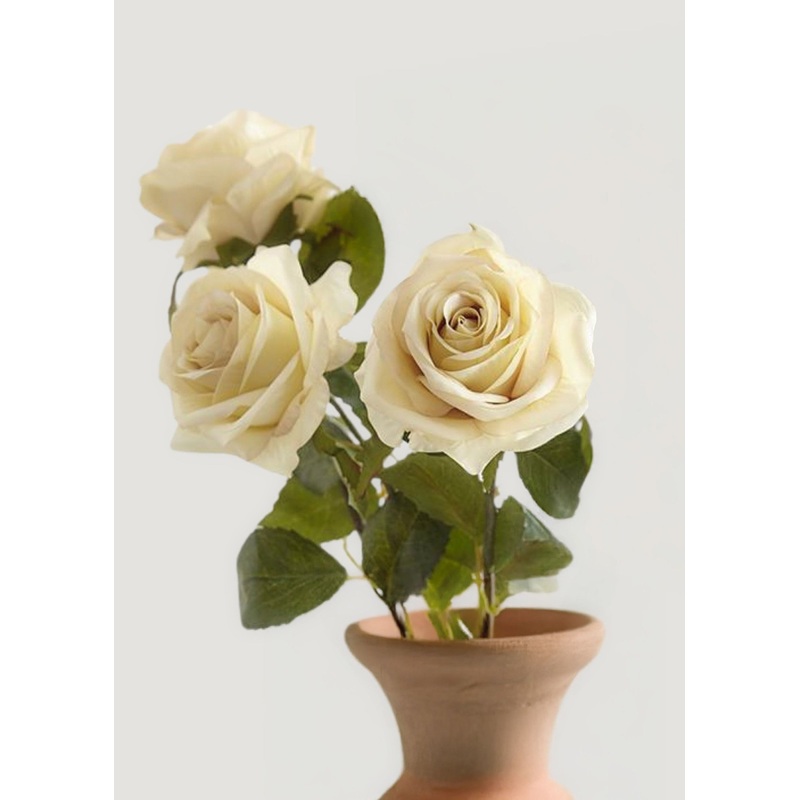 Bundle of 3 – Eggshell Cream Fake Rose – 21.5