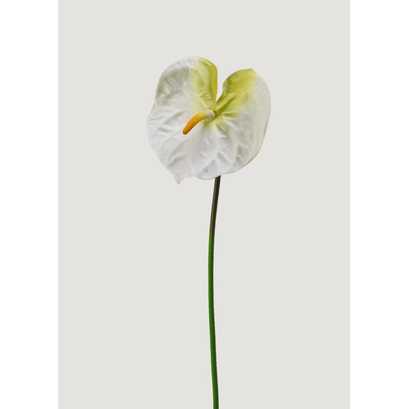 Cream White Artificial Anthurium Tropical Flower – 27