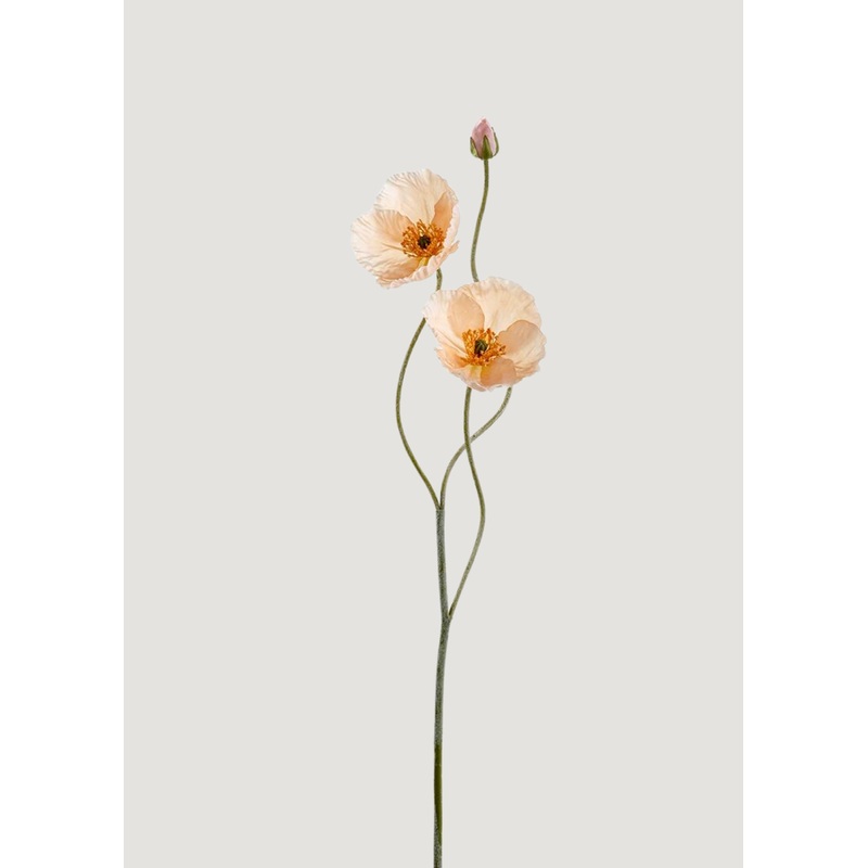 Fake Blooming Poppy Flowers in Peach – 29
