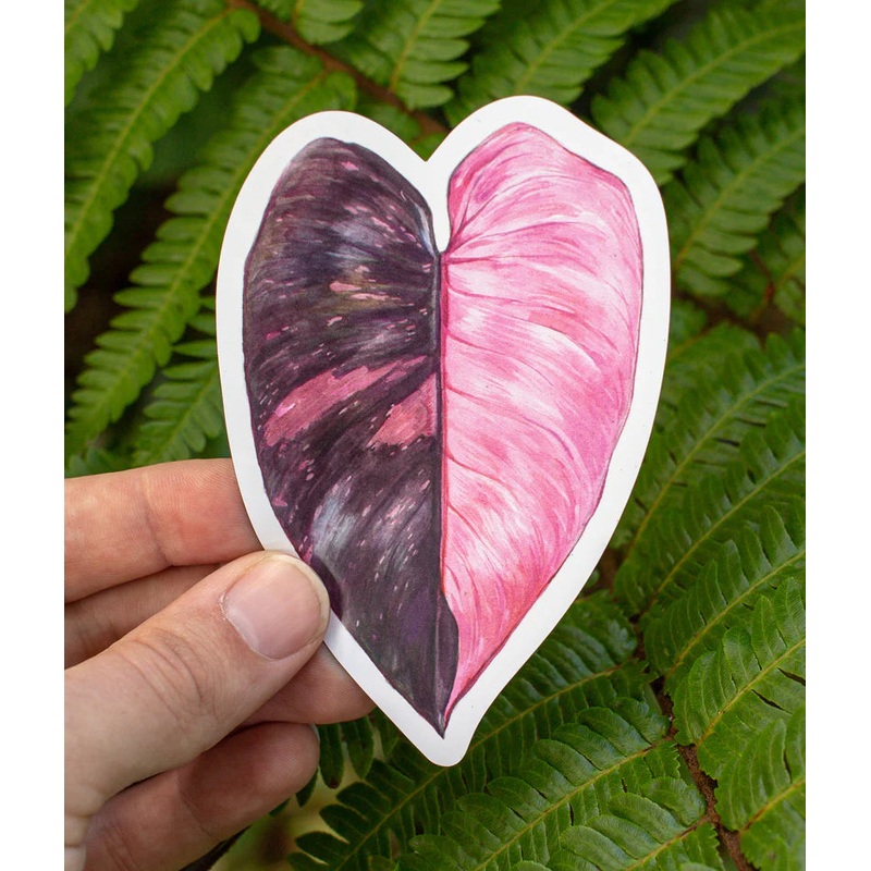 Philodendron ‘Pink Princess’ Magnet