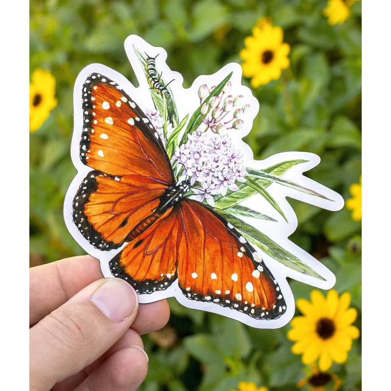 Queen Butterfly Magnet