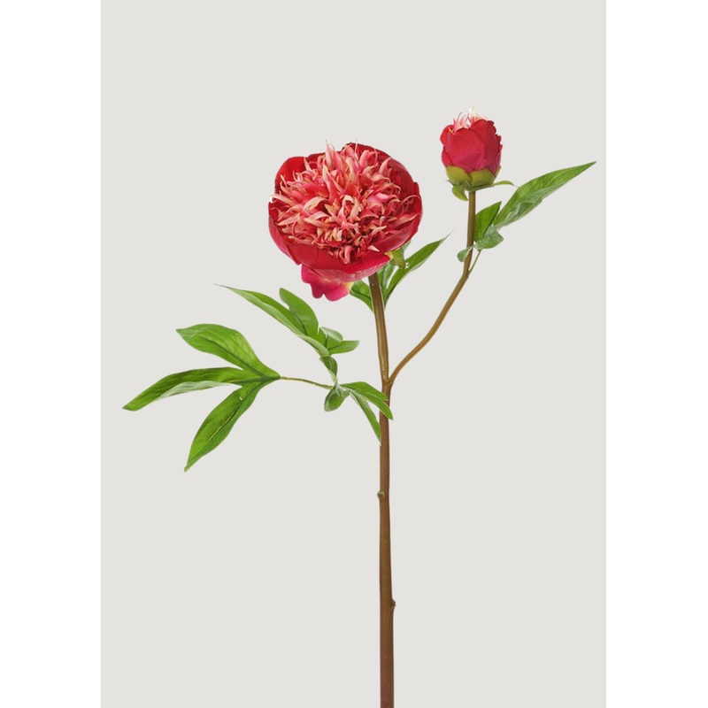 Red and Cream Fake Real Touch Peony with Bud – 26