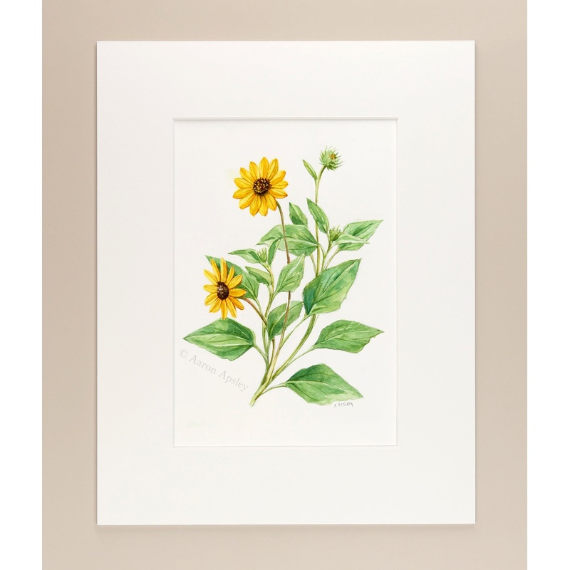 Dune Sunflowers – Original Watercolor