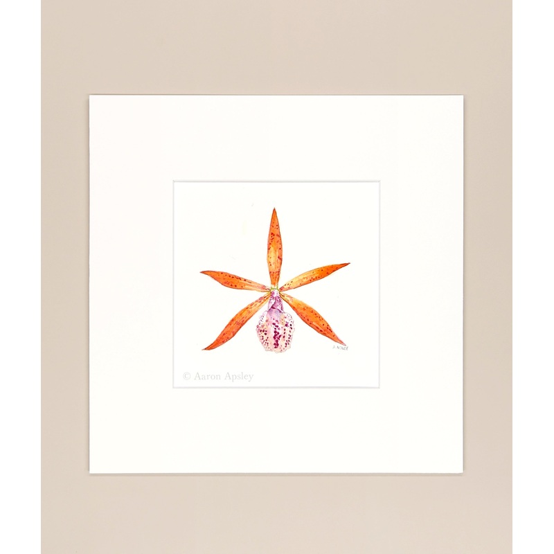 Encyleyvola Jairak Canary – Original Watercolor