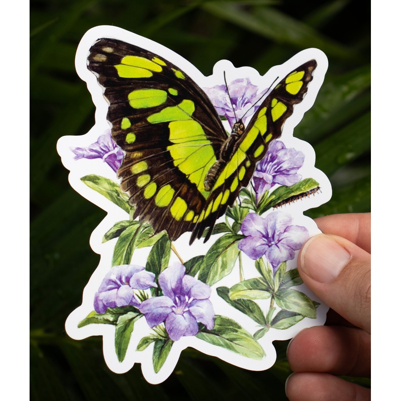 Malachite Butterfly Magnet