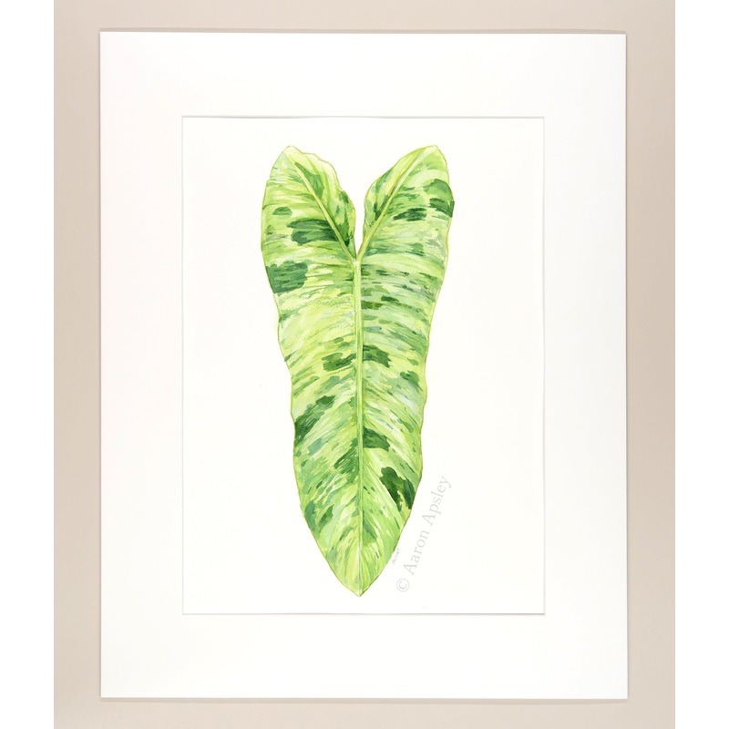 Philodendron paraiso verde – Original Watercolor