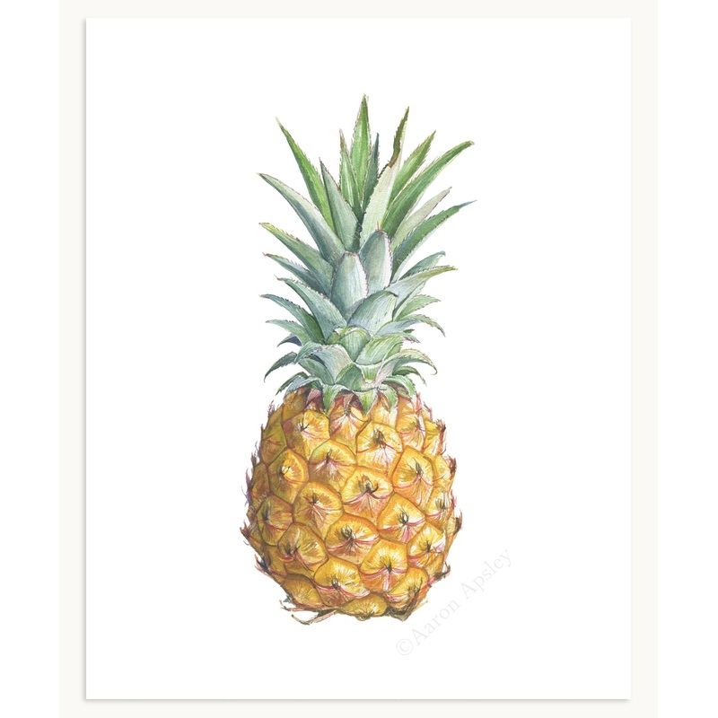 Pineapple Fruit Print|8″ x 10″