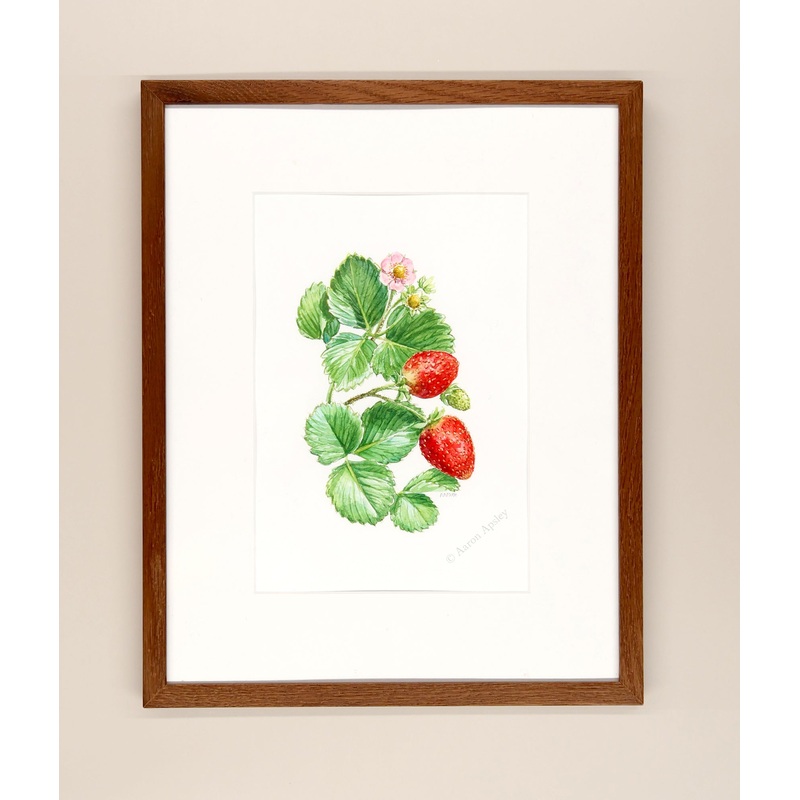 Strawberries – Framed Original Watercolor