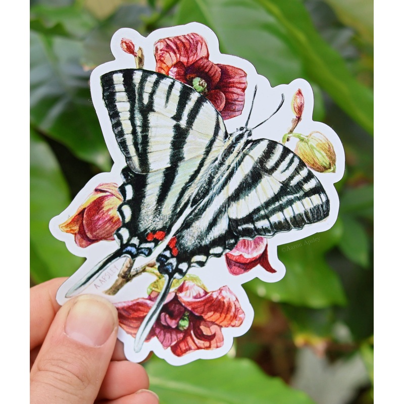 Zebra Swallowtail Butterfly Magnet
