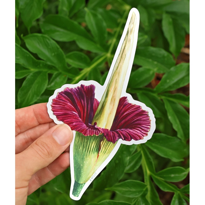 Corpse Flower Magnet