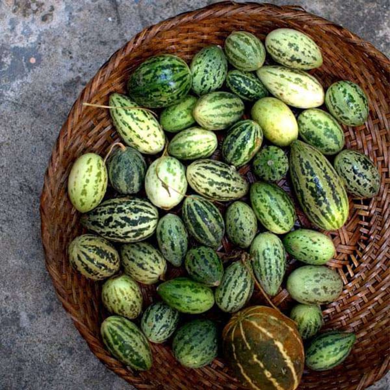 Foot Kachri – Desi Fruit Seeds