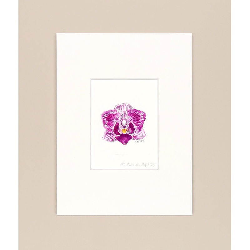 Phalaenopsis Sogo Vivien  – Original Watercolor