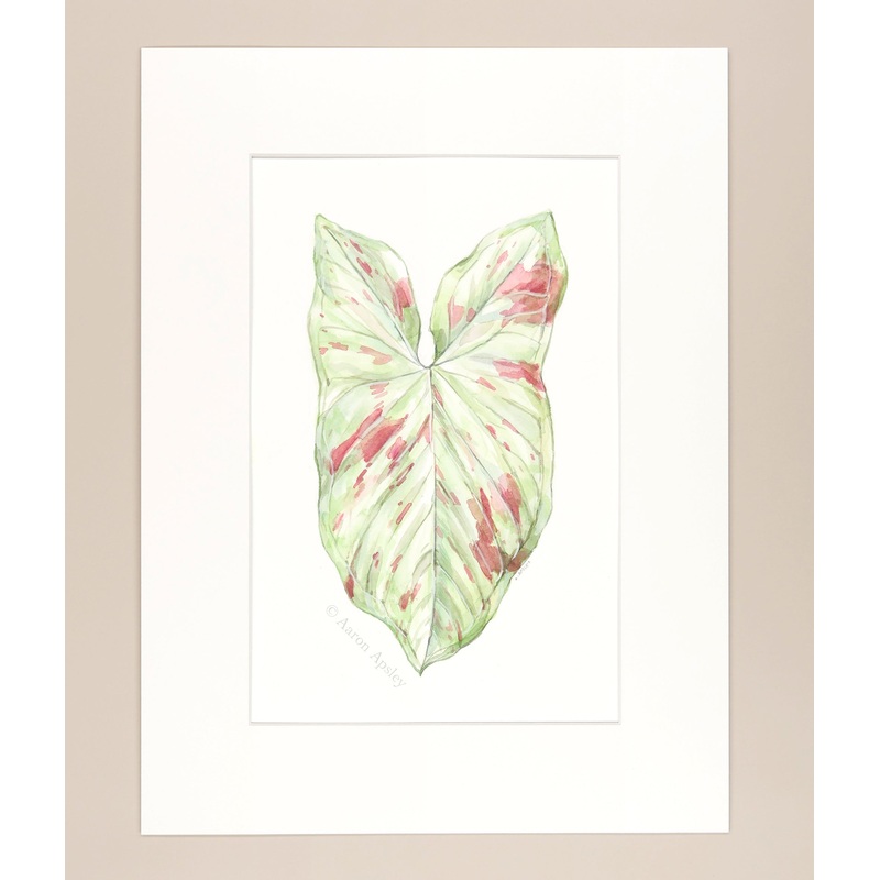 Syngonium ‘Milk Confetti’ – Original Watercolor