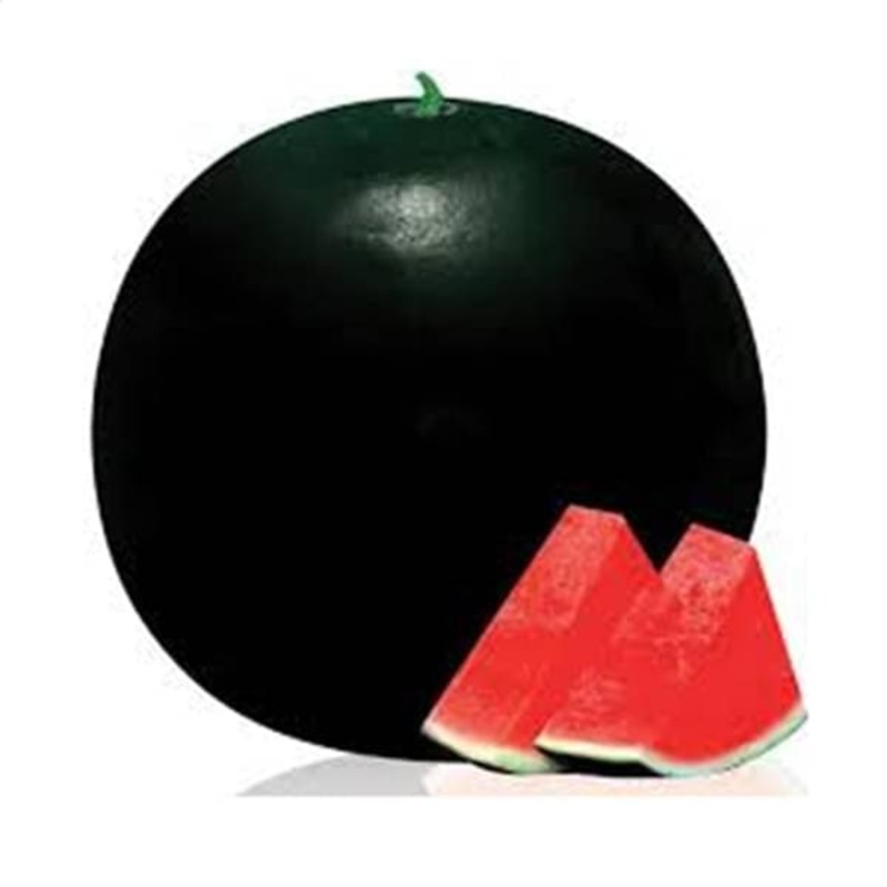 Water Melon F1 Arya 114 – Fruit Seeds