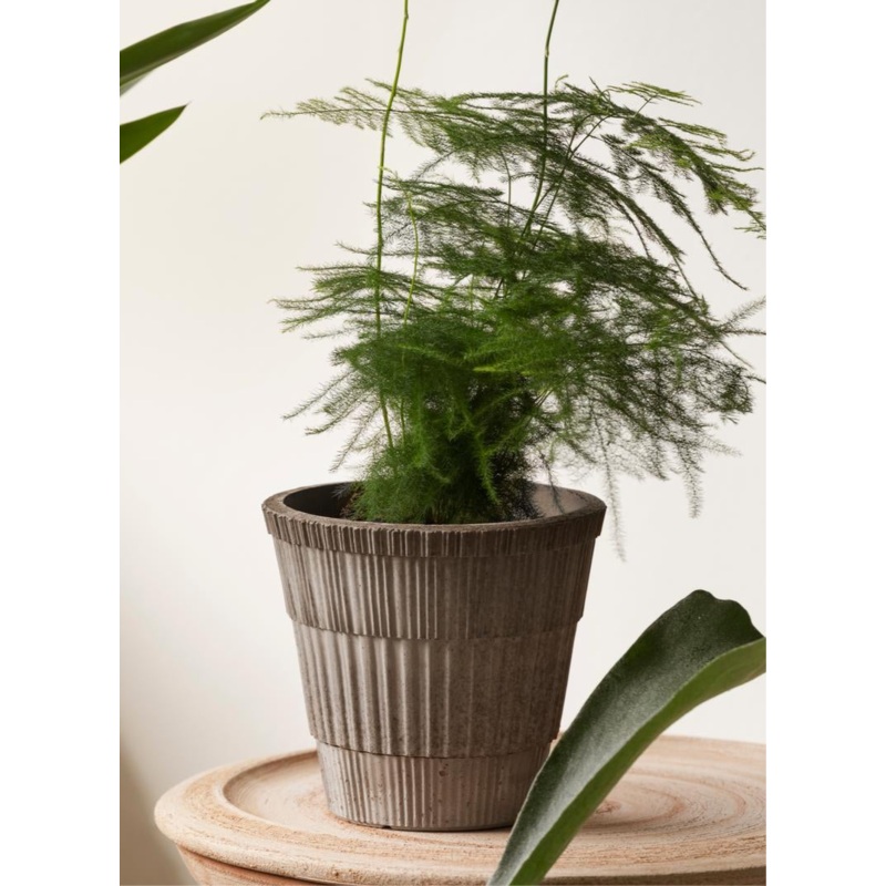 Bergs Potter | Atlas | Grey Pot & Saucer