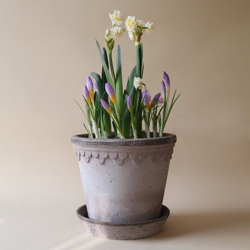 Bergs Potter | Copenhagen | Grey Pot & Saucer