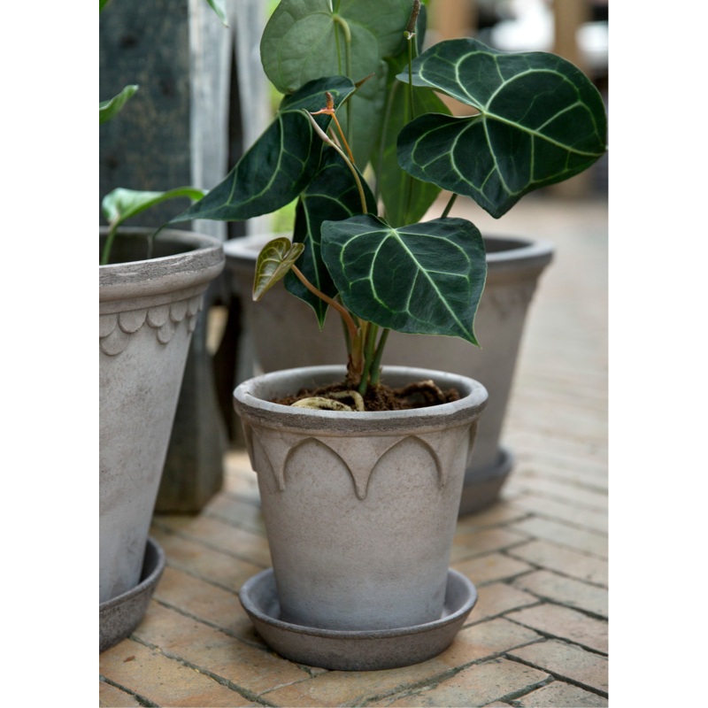 Bergs Potter | Elizabeth | Grey Pot & Saucer