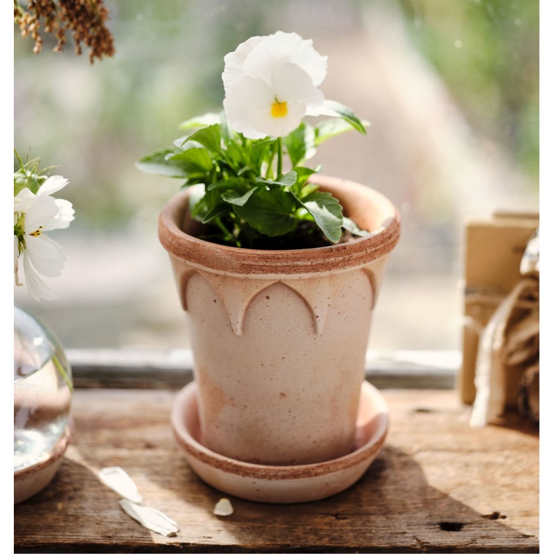 Bergs Potter | Elizabeth | Rosa Pot & Saucer