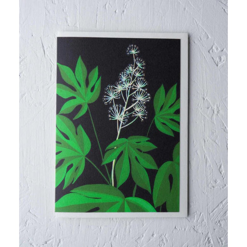 Greeting Card – Fatsia Japonica by Stengun Drawings