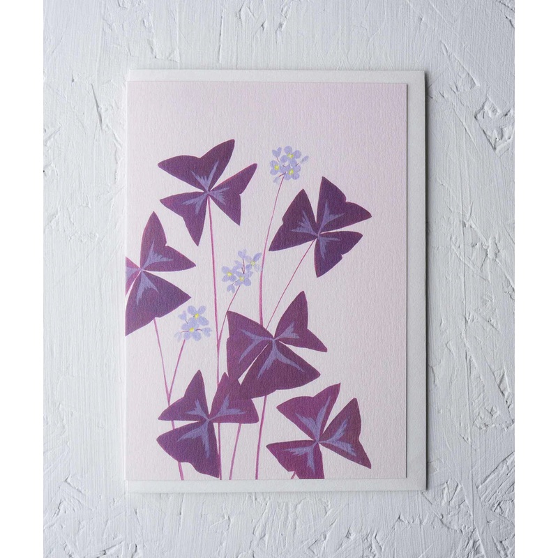 Greeting Card – Oxalis Triangularis by Stengun Drawings