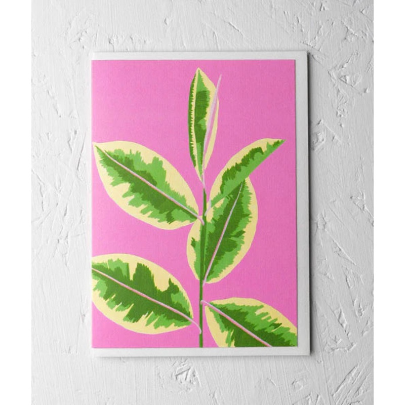 Greeting Card – Variegated Rubber Plant by Stengun Drawings