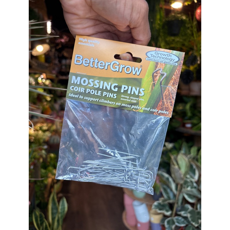 Mossing Pins