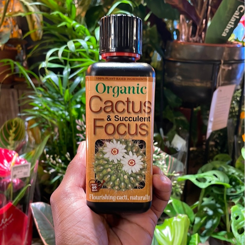 Organic Cactus & Succulent Focus | 300ml