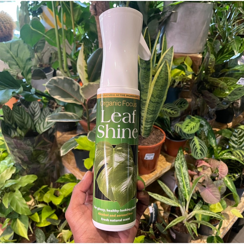 Organic Focus Leaf Shine | 400ml