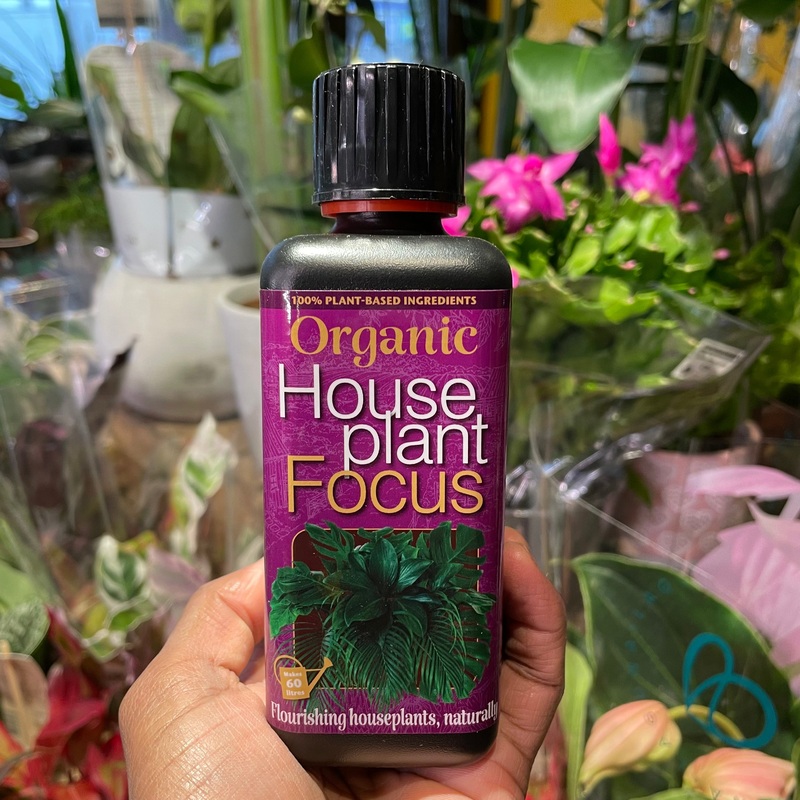 Organic Houseplant Focus | 300ml