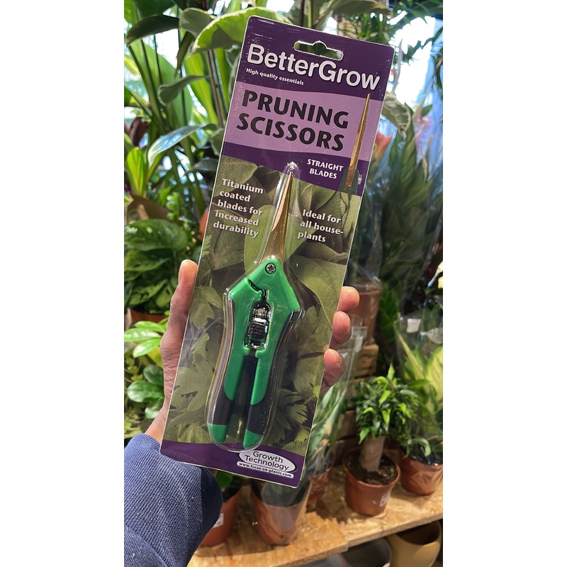 Pruning Scissors