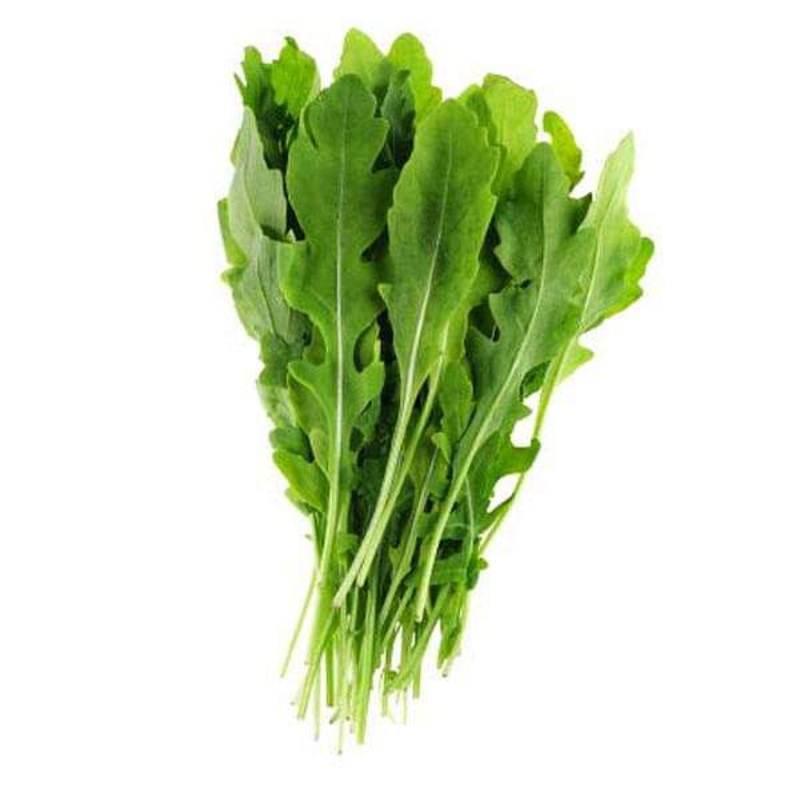 Rocket Arugula Wild Cut – Herb Seeds