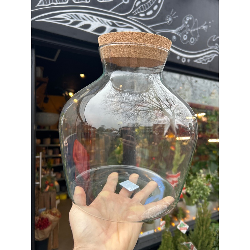 Terrarium Vessel | Judy | Large