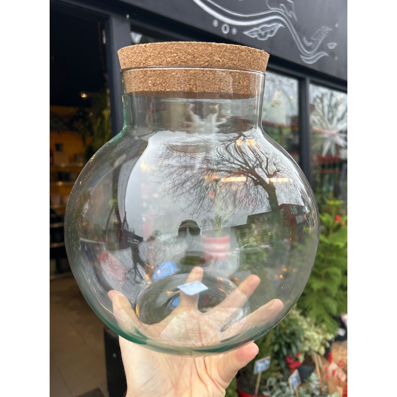 Terrarium Vessel | Raindrop | Large