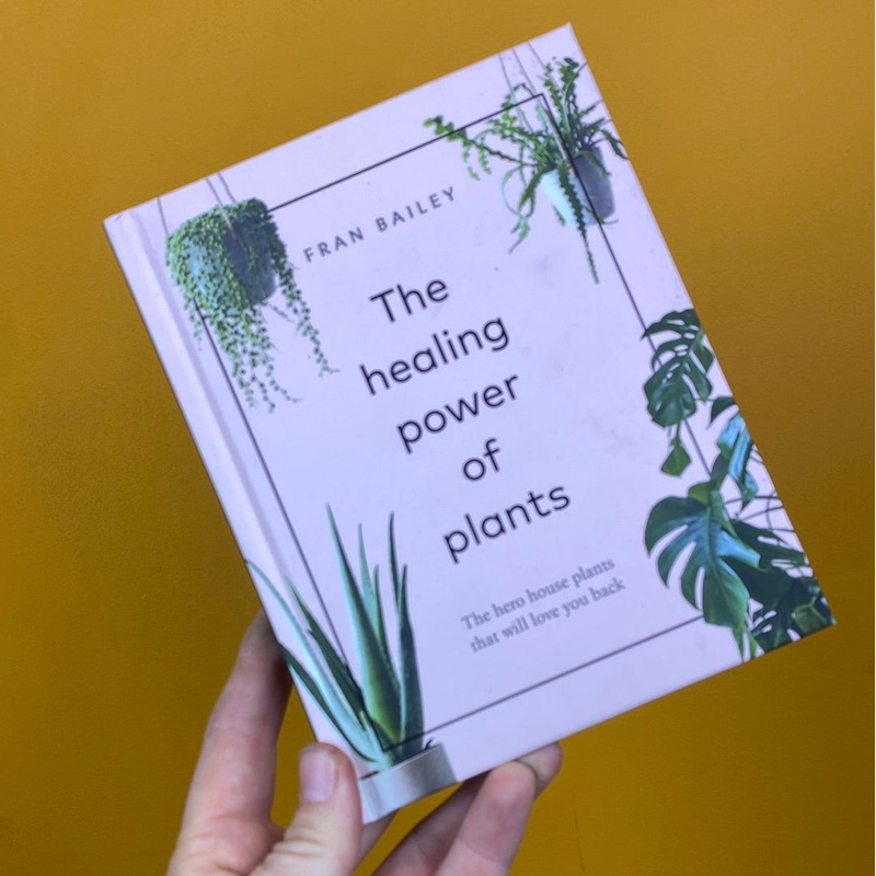 The Healing Power of Plants