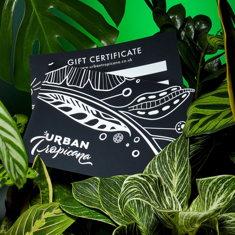 Urban Tropicana Gift Card|10.00|20.00|25.00|30.00|40.00|50.00|100.00