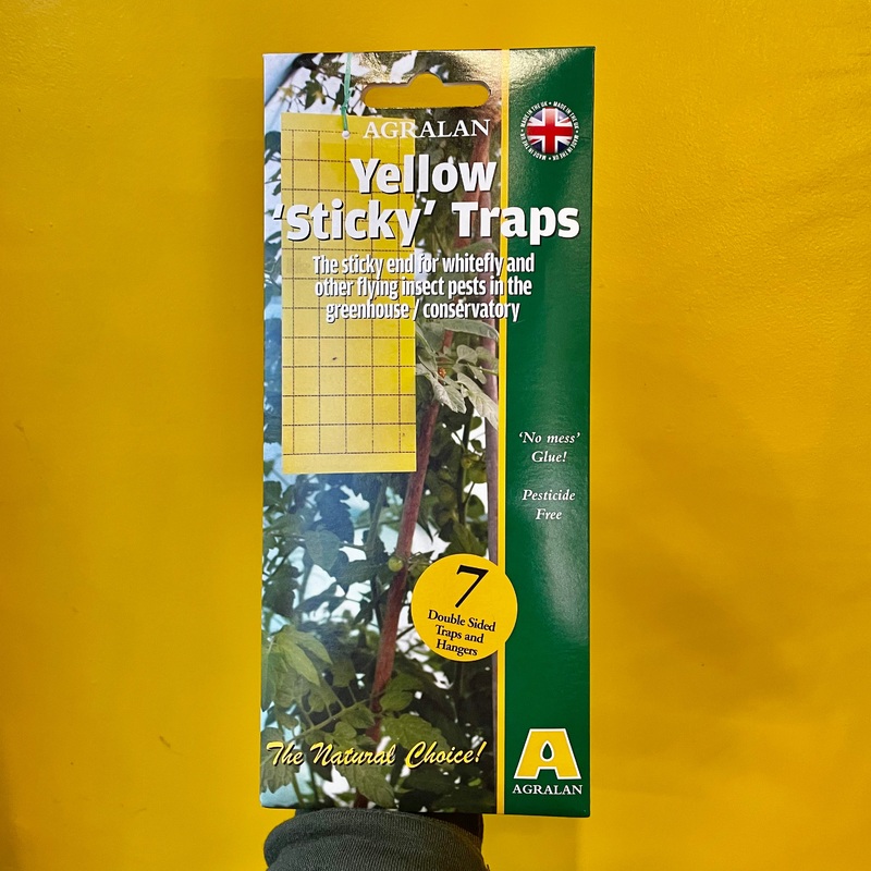 Yellow Sticky Traps | Pack of 7