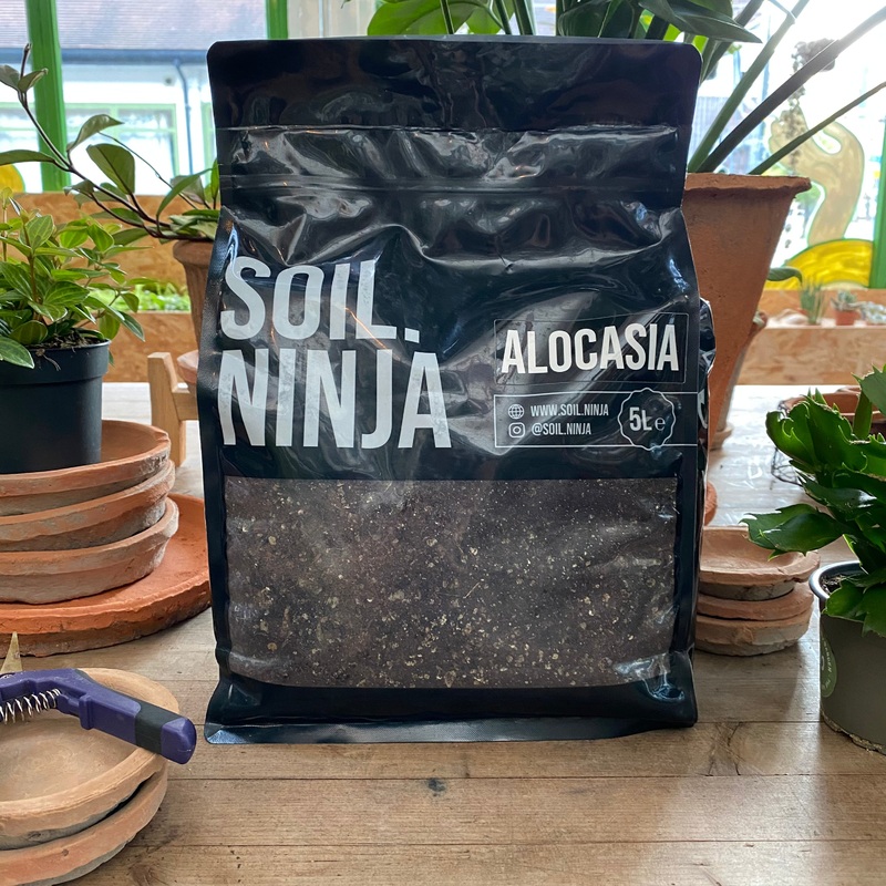 Alocasia Soil Mix|5 Litres
