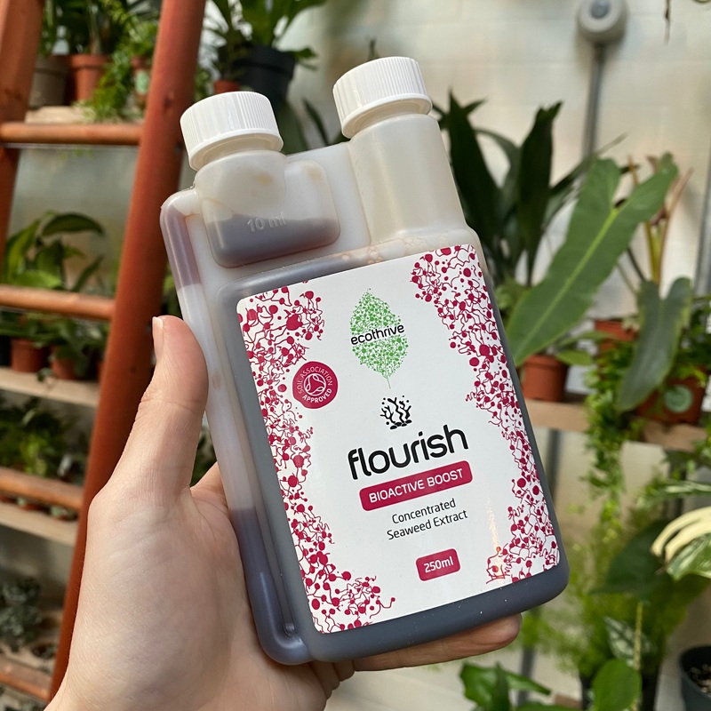 Ecothrive Flourish|250ml